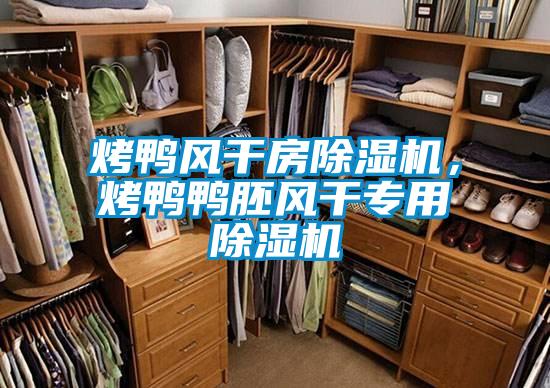烤鴨風(fēng)干房除濕機(jī),烤鴨鴨胚風(fēng)干專用除濕機(jī)