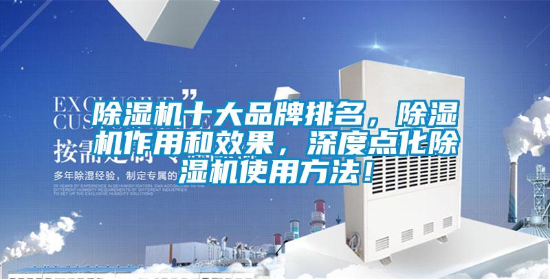 除濕機十大品牌排名，除濕機作用和效果，深度點化除濕機使用方法！