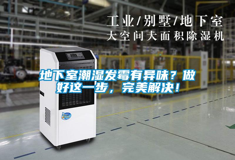 地下室潮濕發(fā)霉有異味？做好這一步，完美解決！