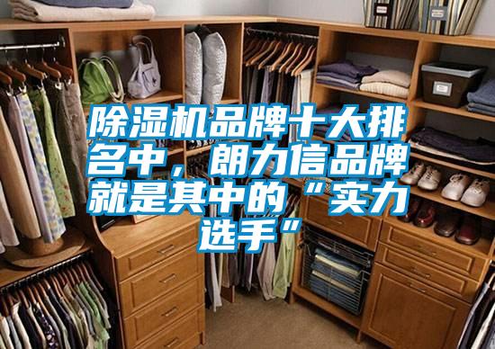 除濕機品牌十大排名中，朗力信品牌就是其中的“實力選手”