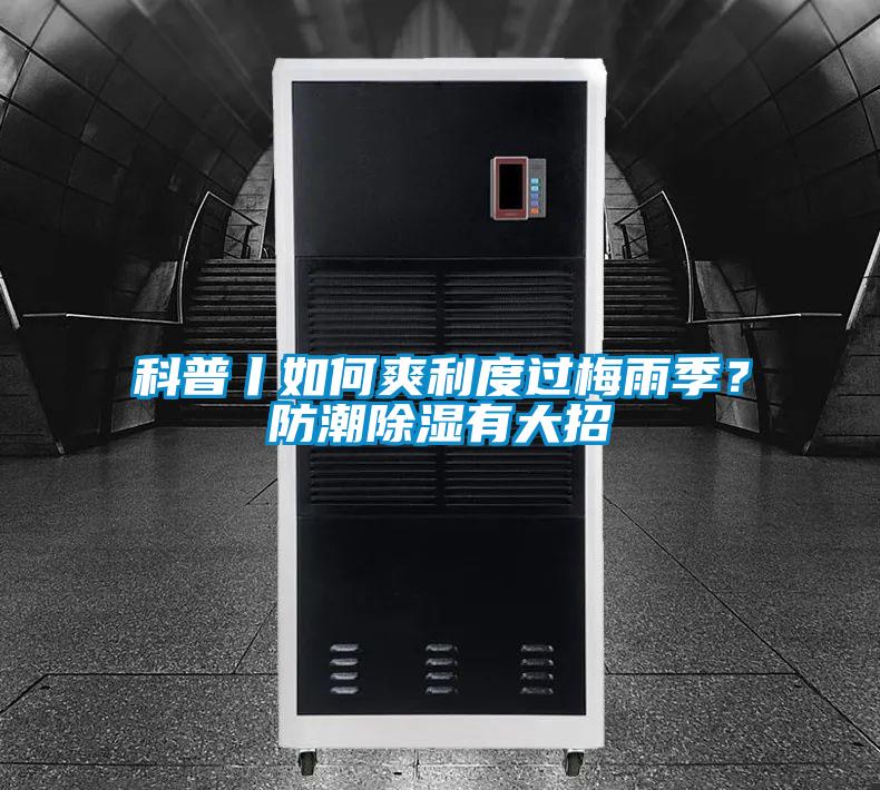 科普丨如何爽利度過梅雨季？防潮除濕有大招