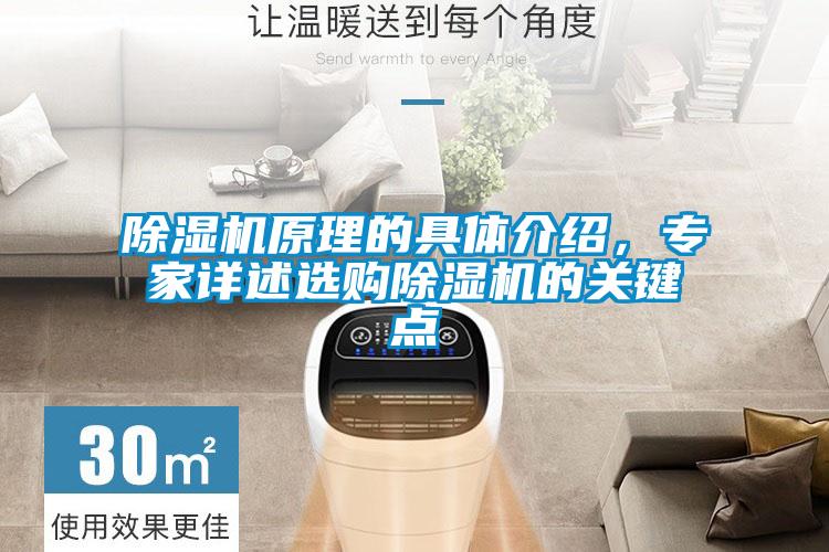 除濕機原理的具體介紹，專家詳述選購除濕機的關鍵點
