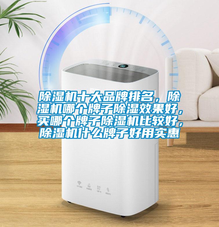 除濕機十大品牌排名，除濕機哪個牌子除濕效果好，買哪個牌子除濕機比較好，除濕機什么牌子好用實惠