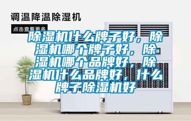 除濕機(jī)什么牌子好，除濕機(jī)哪個牌子好，除濕機(jī)哪個品牌好，除濕機(jī)什么品牌好，什么牌子除濕機(jī)好