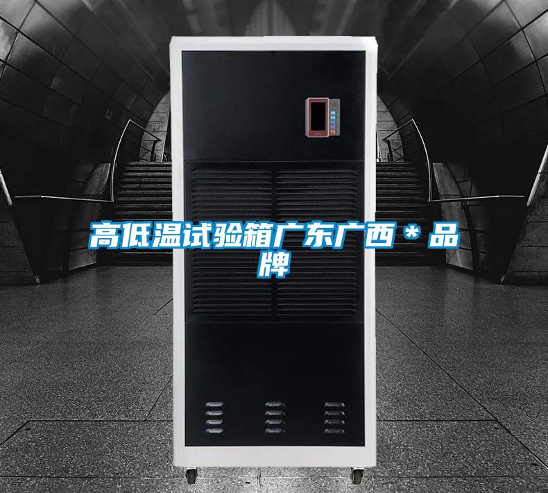 高低溫試驗(yàn)箱廣東廣西*品牌