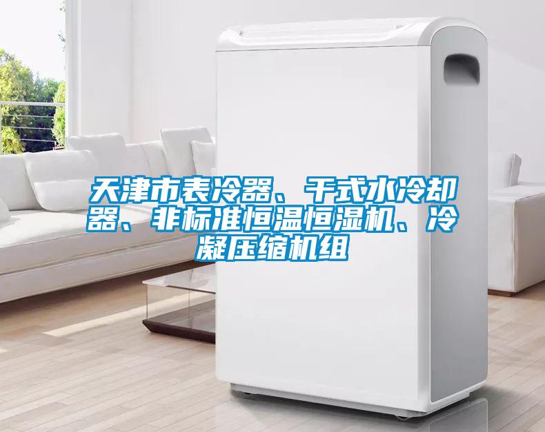 天津市表冷器、干式水冷卻器、非標(biāo)準(zhǔn)恒溫恒濕機、冷凝壓縮機組