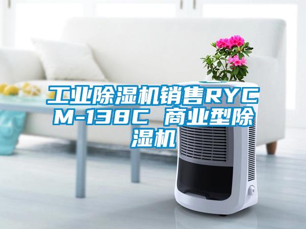 工業(yè)除濕機銷售RYCM-138C 商業(yè)型除濕機