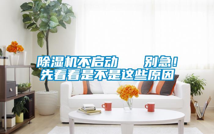 除濕機不啟動   別急！先看看是不是這些原因