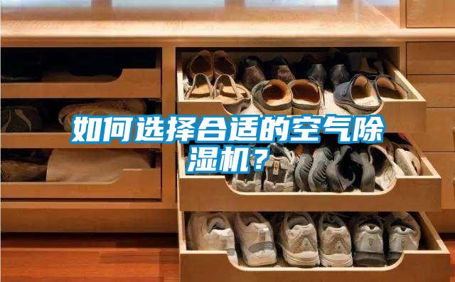 如何選擇合適的空氣除濕機？