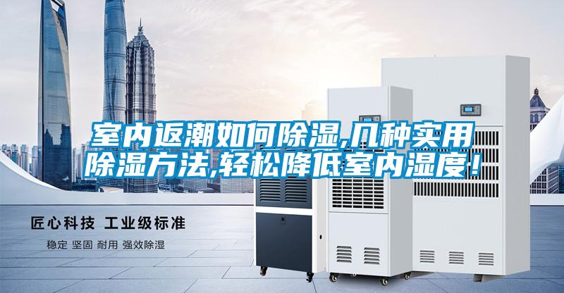 室內(nèi)返潮如何除濕,幾種實用除濕方法,輕松降低室內(nèi)濕度！