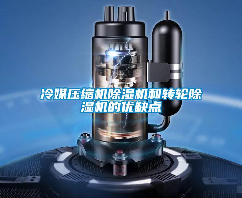 冷媒壓縮機(jī)除濕機(jī)和轉(zhuǎn)輪除濕機(jī)的優(yōu)缺點
