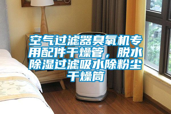 空氣過濾器臭氧機專用配件干燥管，脫水除濕過濾吸水除粉塵干燥筒