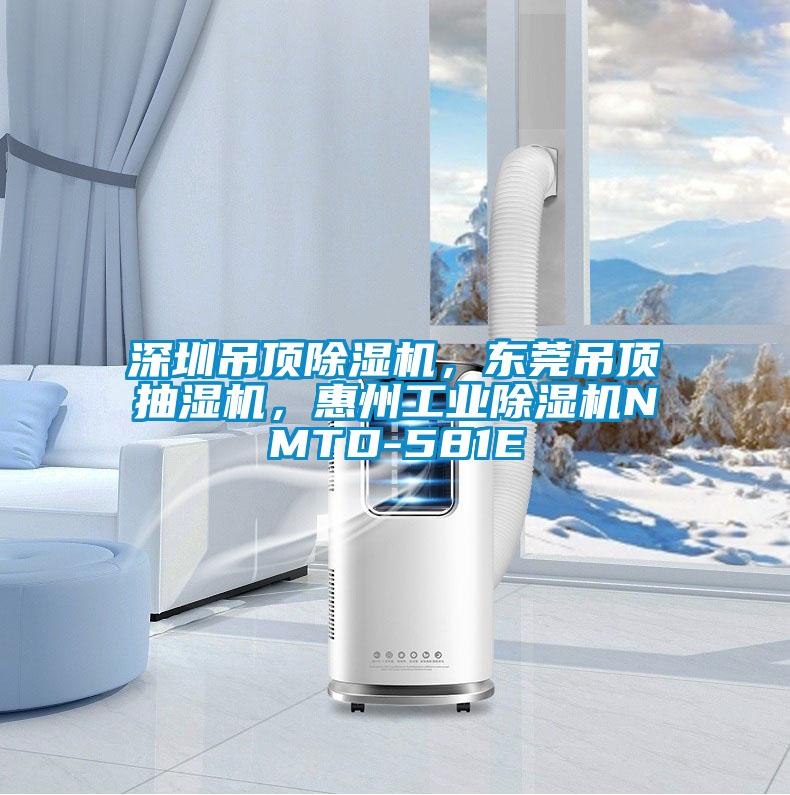 深圳吊頂除濕機(jī)，東莞吊頂抽濕機(jī)，惠州工業(yè)除濕機(jī)NMTD-581E