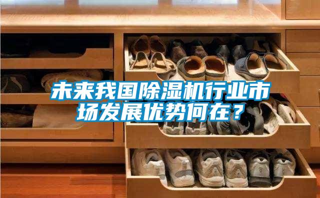 未來(lái)我國(guó)除濕機(jī)行業(yè)市場(chǎng)發(fā)展優(yōu)勢(shì)何在？