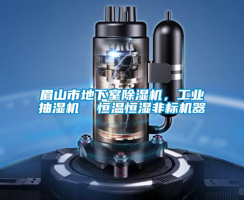 眉山市地下室除濕機，工業(yè)抽濕機  恒溫恒濕非標(biāo)機器