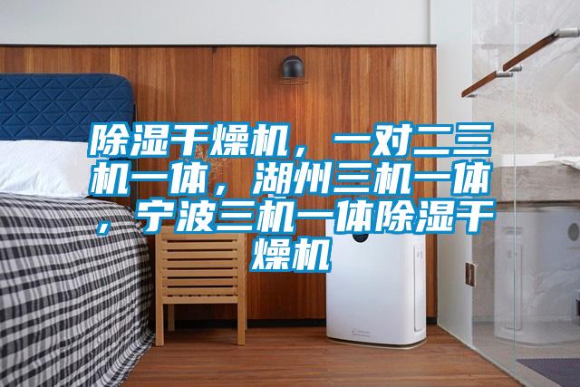 除濕干燥機(jī)，一對二三機(jī)一體，湖州三機(jī)一體，寧波三機(jī)一體除濕干燥機(jī)