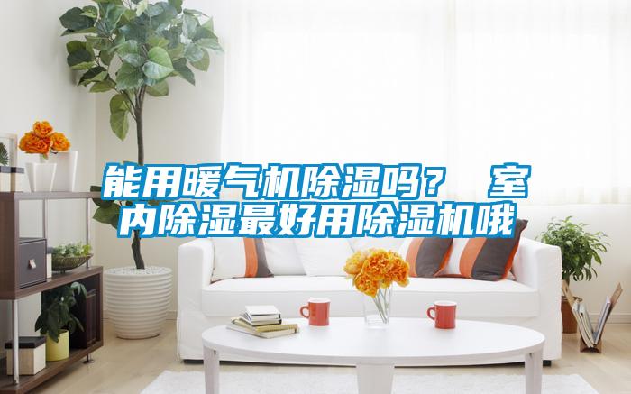 能用暖氣機(jī)除濕嗎？ 室內(nèi)除濕最好用除濕機(jī)哦