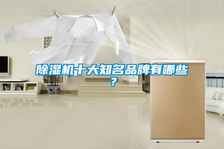 除濕機(jī)十大知名品牌有哪些？