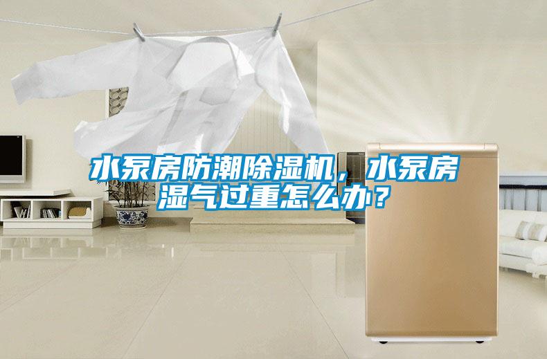 水泵房防潮除濕機(jī)，水泵房濕氣過重怎么辦？