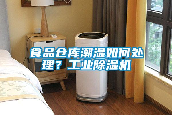 食品倉庫潮濕如何處理?工業(yè)除濕機(jī)