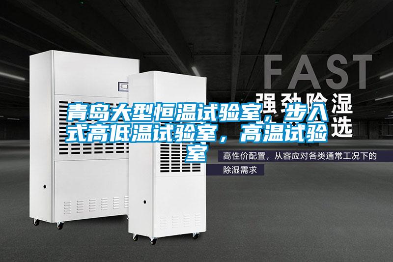 青島大型恒溫試驗室，步入式高低溫試驗室，高溫試驗室