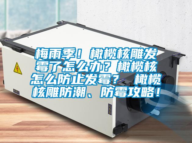 梅雨季！橄欖核雕發(fā)霉了怎么辦？橄欖核怎么防止發(fā)霉？ 橄欖核雕防潮、防霉攻略！