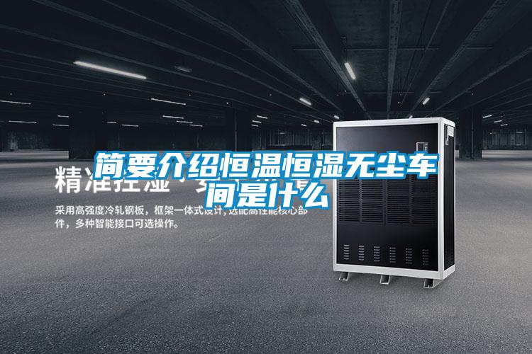 簡(jiǎn)要介紹恒溫恒濕無(wú)塵車(chē)間是什么