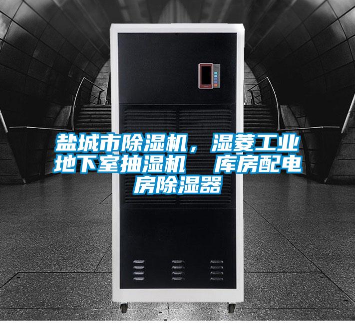 鹽城市除濕機(jī),濕菱工業(yè)地下室抽濕機(jī) 庫房配電房除濕器
