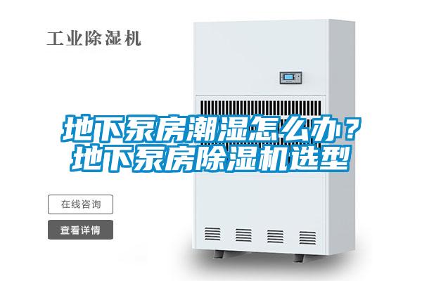 地下泵房潮濕怎么辦？地下泵房除濕機選型