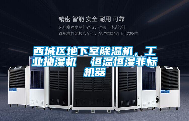 西城區(qū)地下室除濕機，工業(yè)抽濕機  恒溫恒濕非標機器