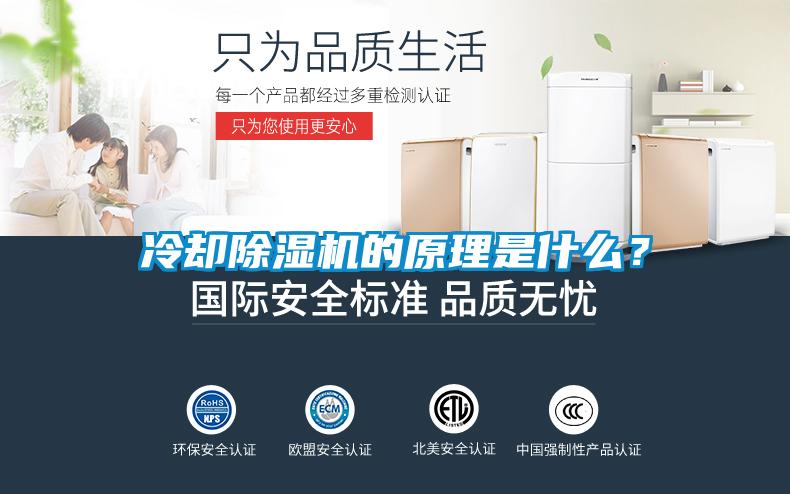 冷卻除濕機(jī)的原理是什么？
