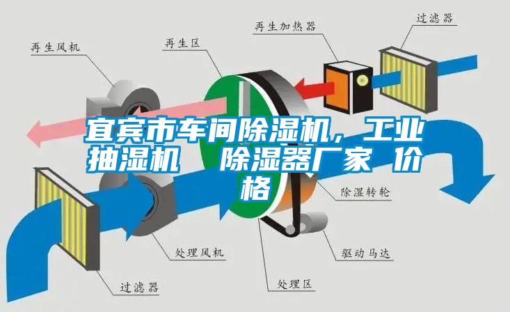 宜賓市車間除濕機(jī)，工業(yè)抽濕機(jī)  除濕器廠家 價(jià)格
