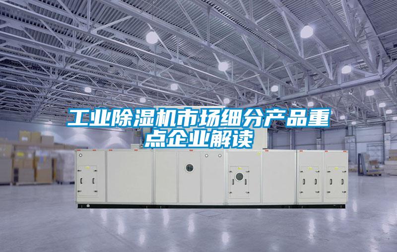 工業(yè)除濕機市場細(xì)分產(chǎn)品重點企業(yè)解讀