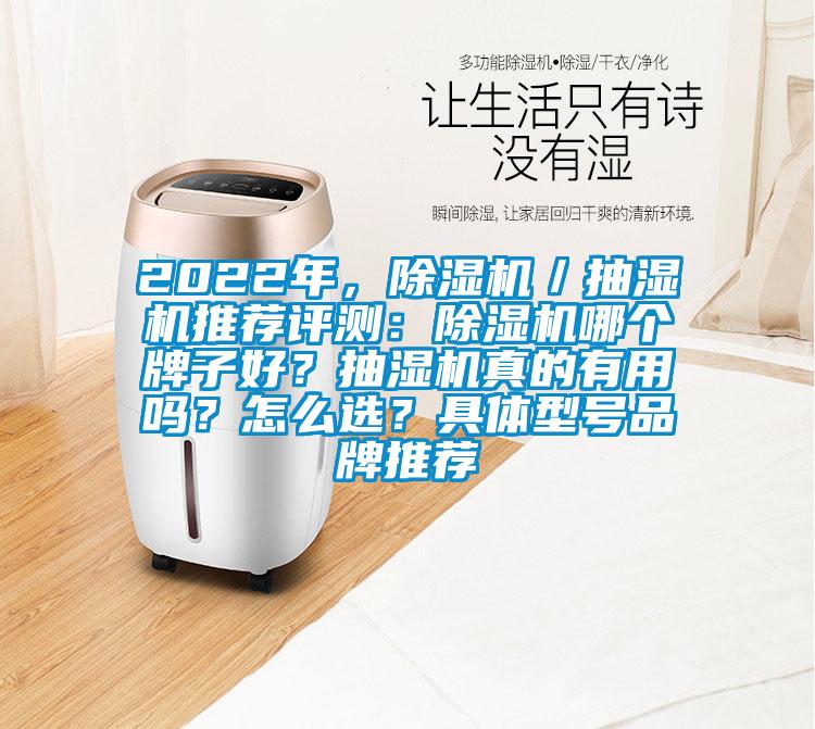 2022年，除濕機(jī)／抽濕機(jī)推薦評(píng)測(cè)：除濕機(jī)哪個(gè)牌子好？抽濕機(jī)真的有用嗎？怎么選？具體型號(hào)品牌推薦
