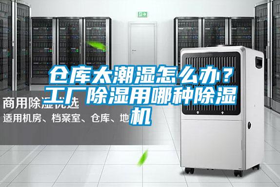 倉庫太潮濕怎么辦？工廠除濕用哪種除濕機(jī)