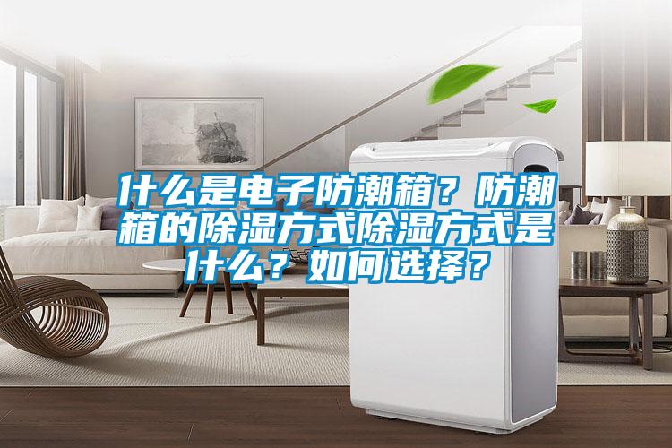 什么是電子防潮箱？防潮箱的除濕方式除濕方式是什么？如何選擇？