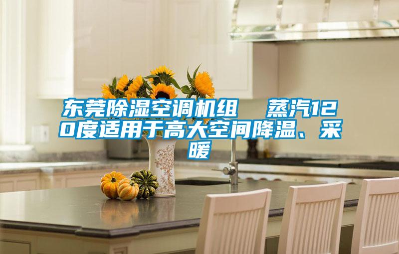 東莞除濕空調(diào)機(jī)組  蒸汽120度適用于高大空間降溫、采暖
