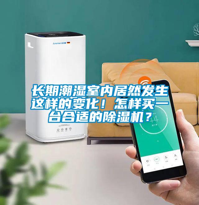 長期潮濕室內(nèi)居然發(fā)生這樣的變化！怎樣買一臺(tái)合適的除濕機(jī)？