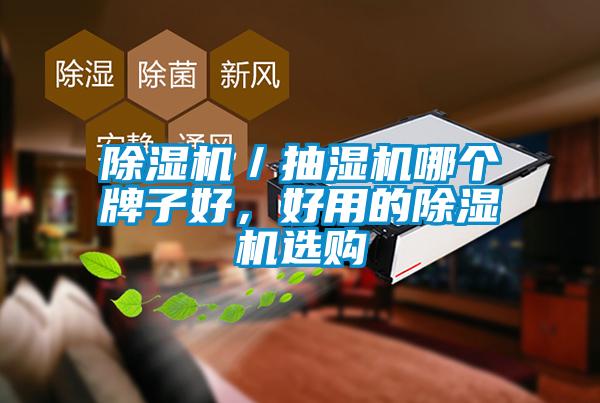 除濕機(jī)／抽濕機(jī)哪個(gè)牌子好，好用的除濕機(jī)選購(gòu)