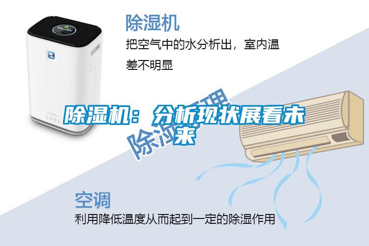 除濕機(jī):分析現(xiàn)狀展看未來