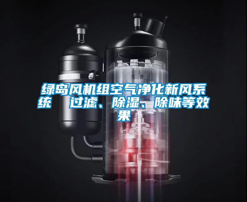 綠島風(fēng)機(jī)組空氣凈化新風(fēng)系統(tǒng)  過濾、除濕、除味等效果