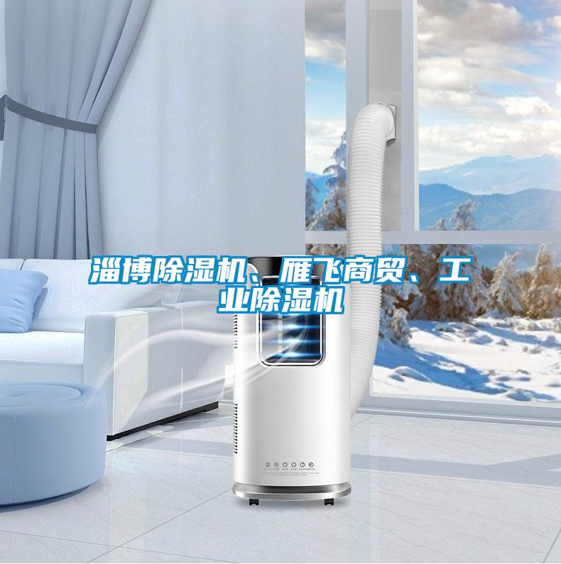 淄博除濕機(jī)、雁飛商貿(mào)、工業(yè)除濕機(jī)
