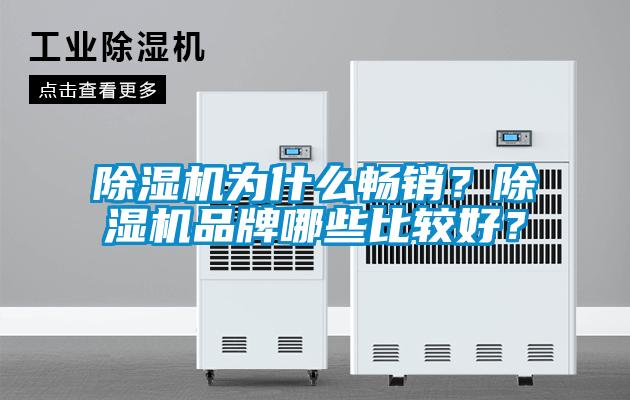 除濕機(jī)為什么暢銷？除濕機(jī)品牌哪些比較好？