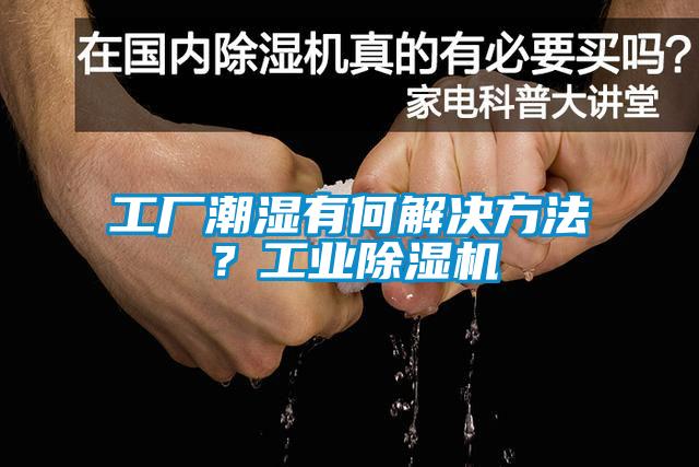 工廠潮濕有何解決方法？工業(yè)除濕機