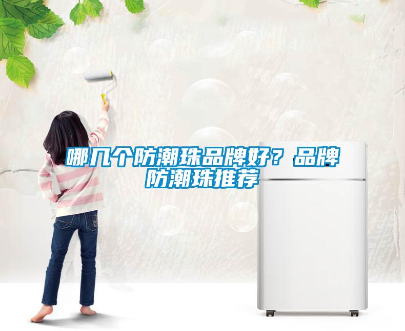 哪幾個防潮珠品牌好？品牌防潮珠推薦