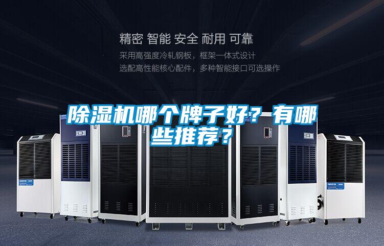除濕機(jī)哪個(gè)牌子好？有哪些推薦？
