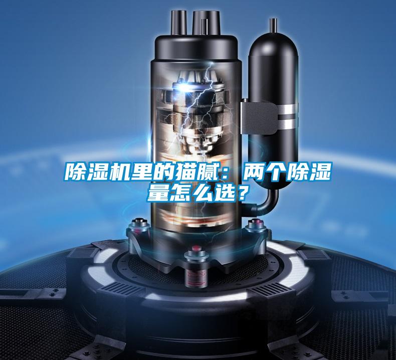 除濕機里的貓膩：兩個除濕量怎么選？