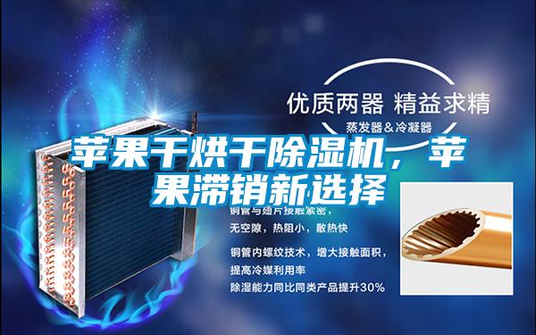 蘋果干烘干除濕機(jī)，蘋果滯銷新選擇