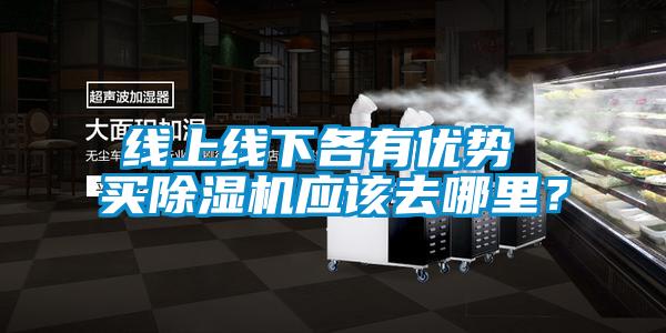線上線下各有優(yōu)勢 買除濕機(jī)應(yīng)該去哪里？