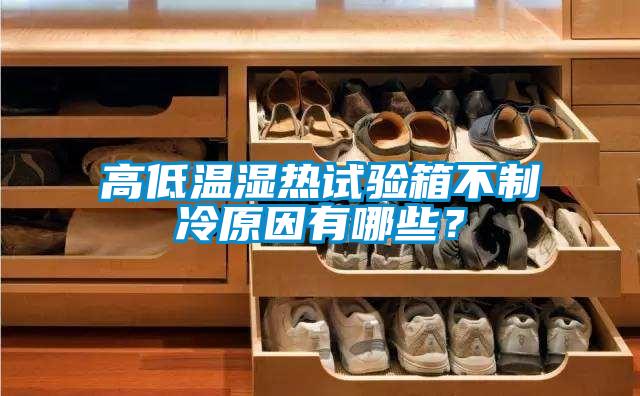 高低溫濕熱試驗(yàn)箱不制冷原因有哪些？
